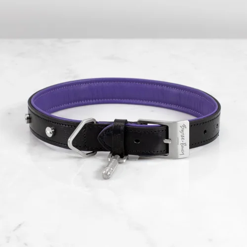 Buster + Punch - Dog Collar Steel