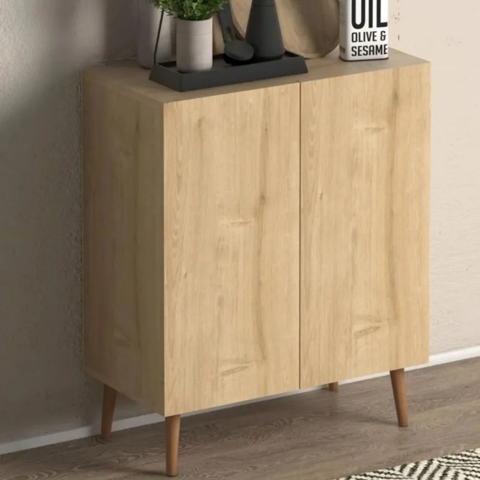 Well Studio Store - Rada Double Lid Wooden Cabinet