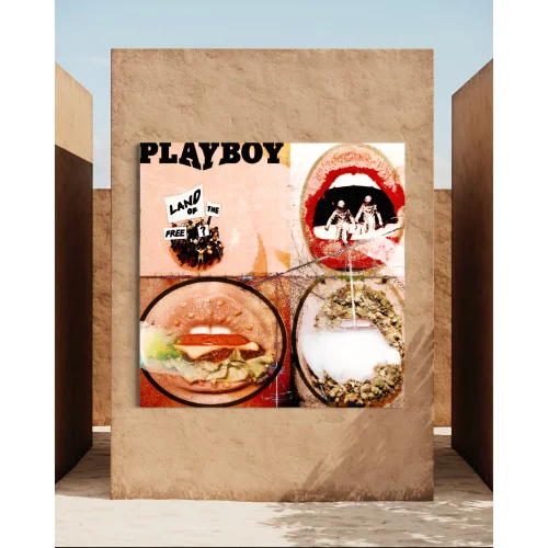 Eudoimoniart - Playboy Tablo