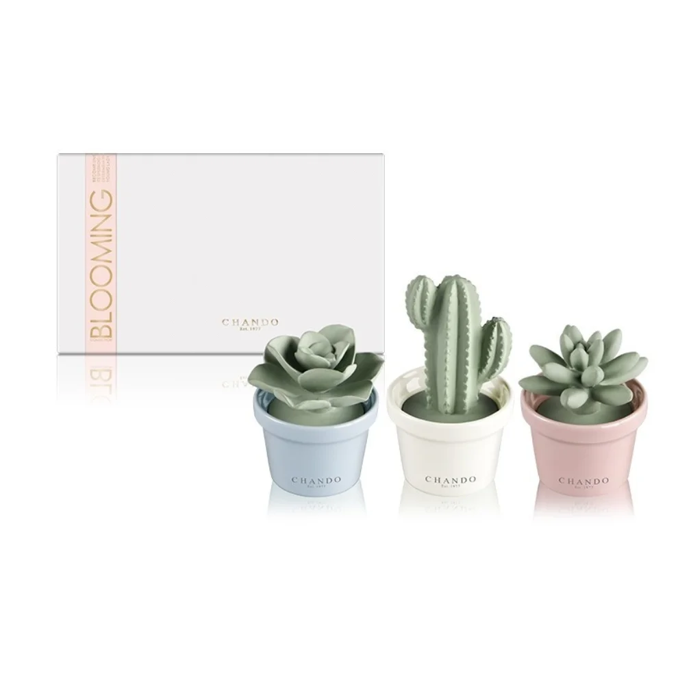 Chando - Room Fragrance Cactus 3 Piece