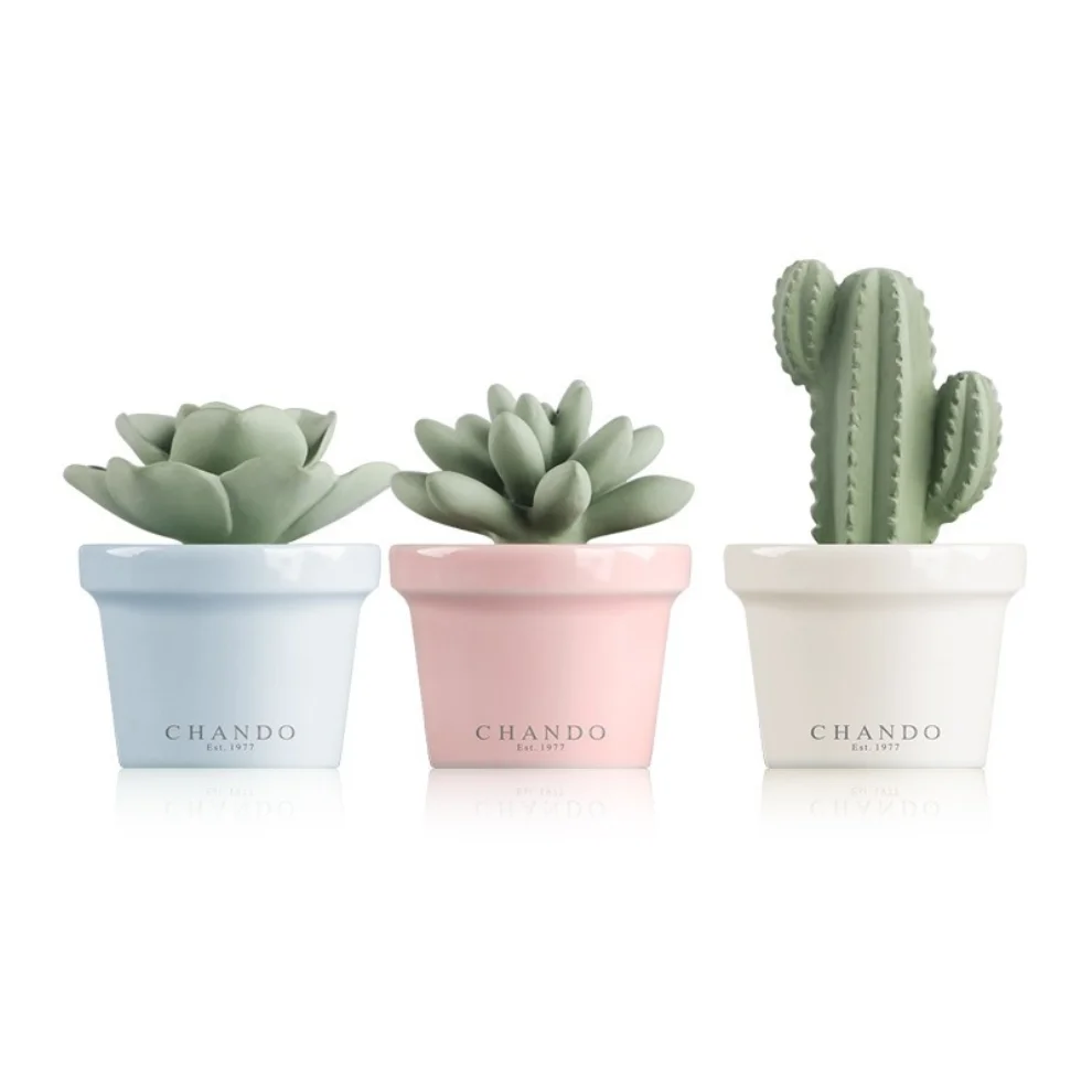 Chando - Room Fragrance Cactus 3 Piece