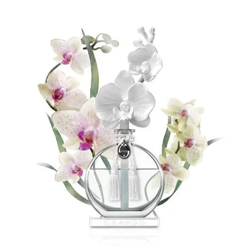 Chando - Fantasy Enchanted Orchid Room Fragrance