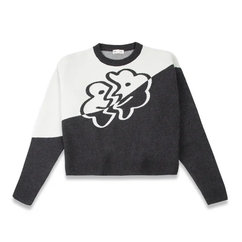 Pemy Store - Faces Cropped Knitwear Sweater