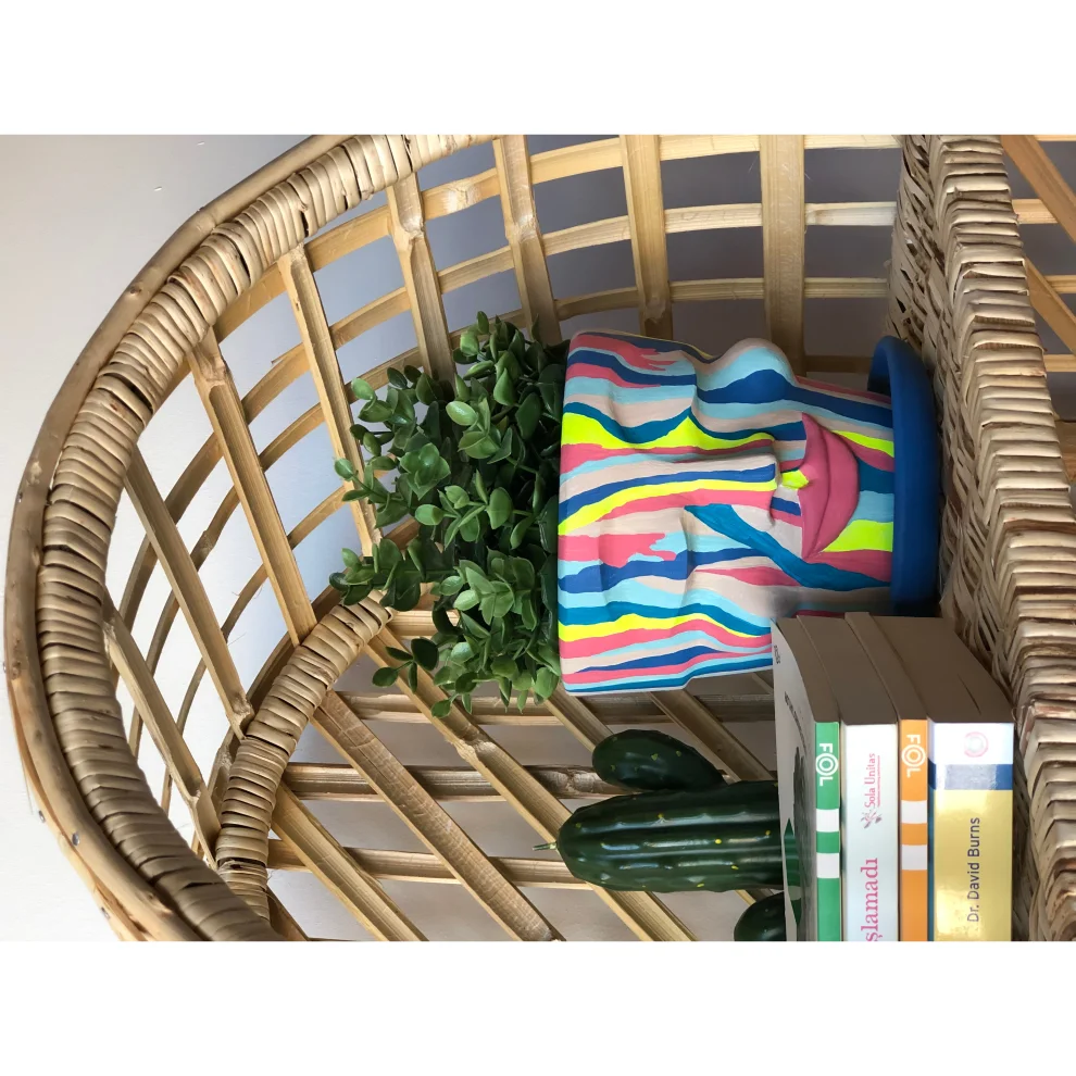 Eva's Art Design Studio Zebra Desenli Kafa Saksı Multi hipicon