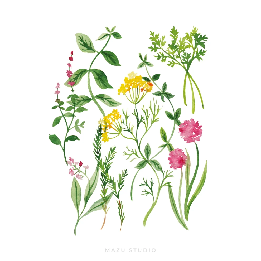 Mazu Studio Herbs Art Print hipicon