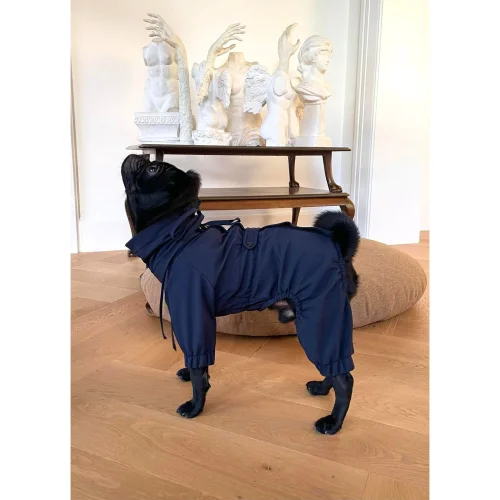 St. Pia - Astro Dog  Winter Coat