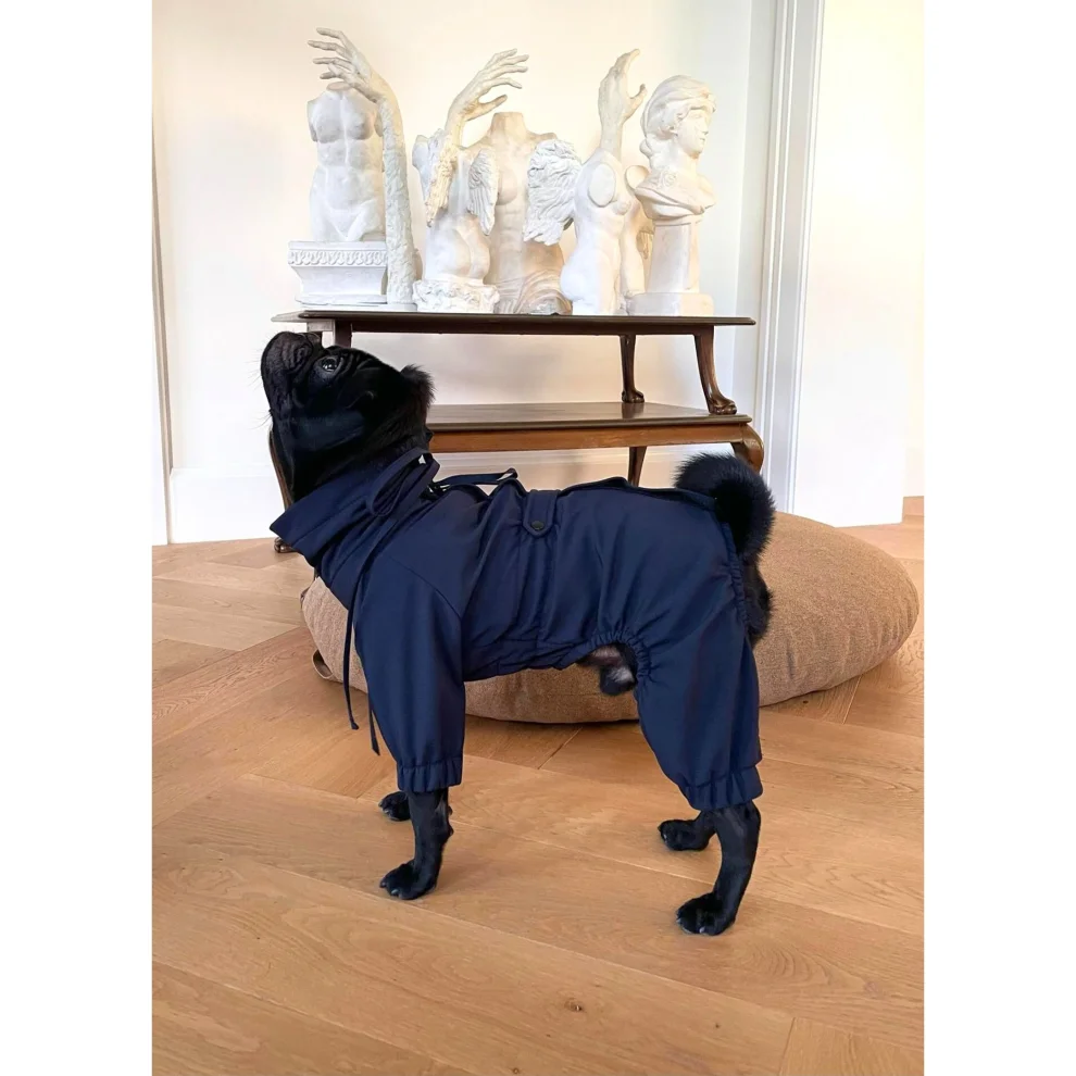 St. Pia - Astro Dog  Winter Coat