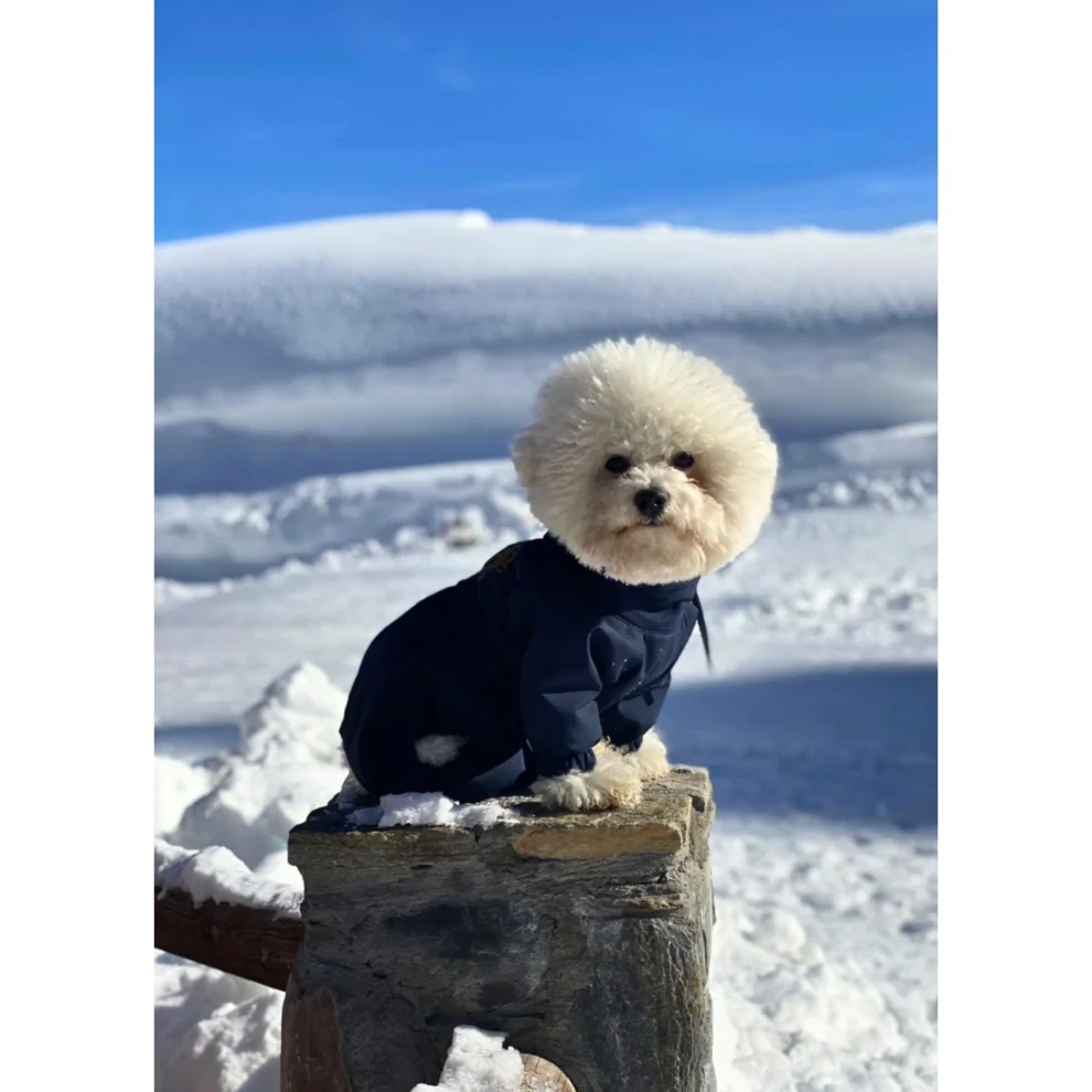 St. Pia - Astro Dog  Winter Coat