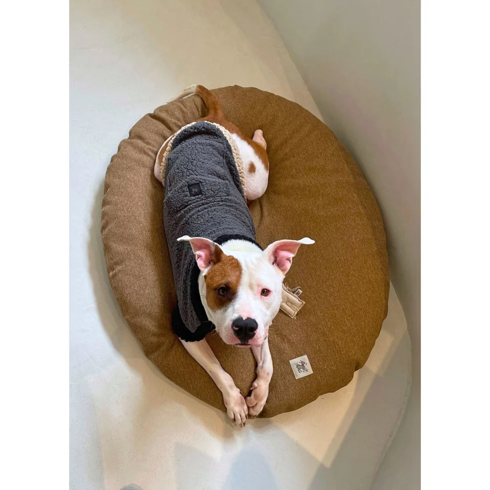 Pita pocket dog clearance bed