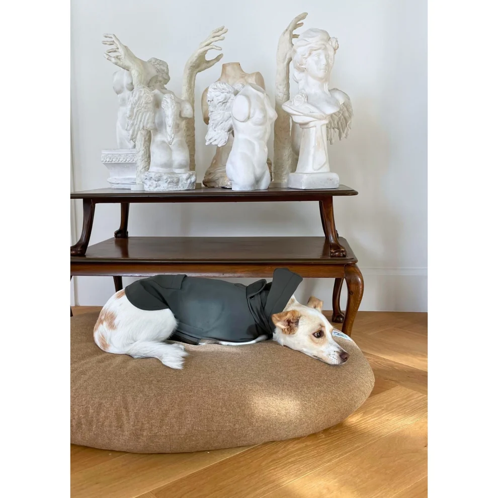 Pita pocket dog on sale bed