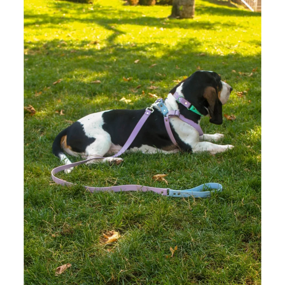 Tofico Pets - Waterproof Biothane Leash