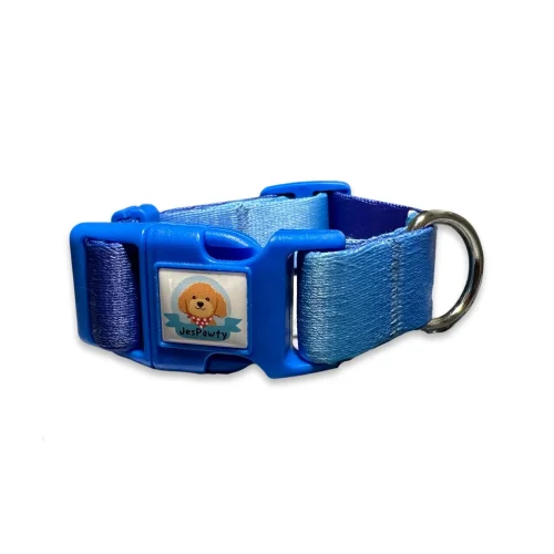 JesPawty - Patterned Collar