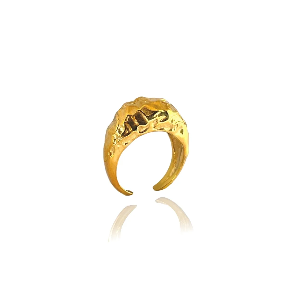 Linya Jewellery Silver Gold Pary Amorf Oval Shiny Gold Ring hipicon
