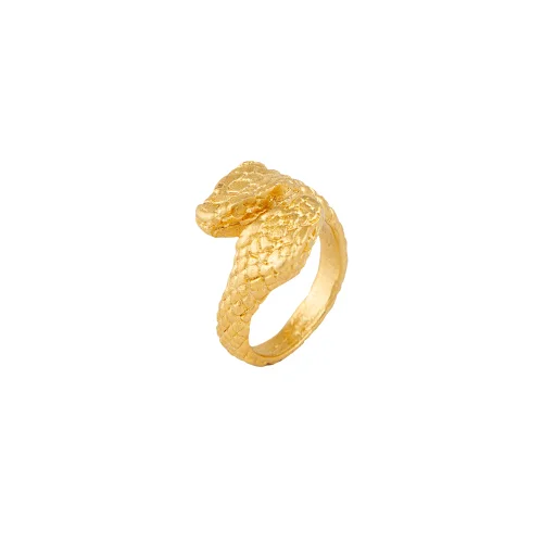 Asyra Jewellery - Two Headed Snake Ring