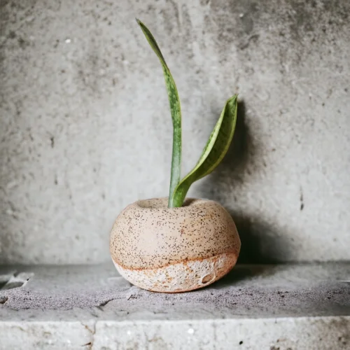 Plant in da House - Stoneware Seramik Vazo-55