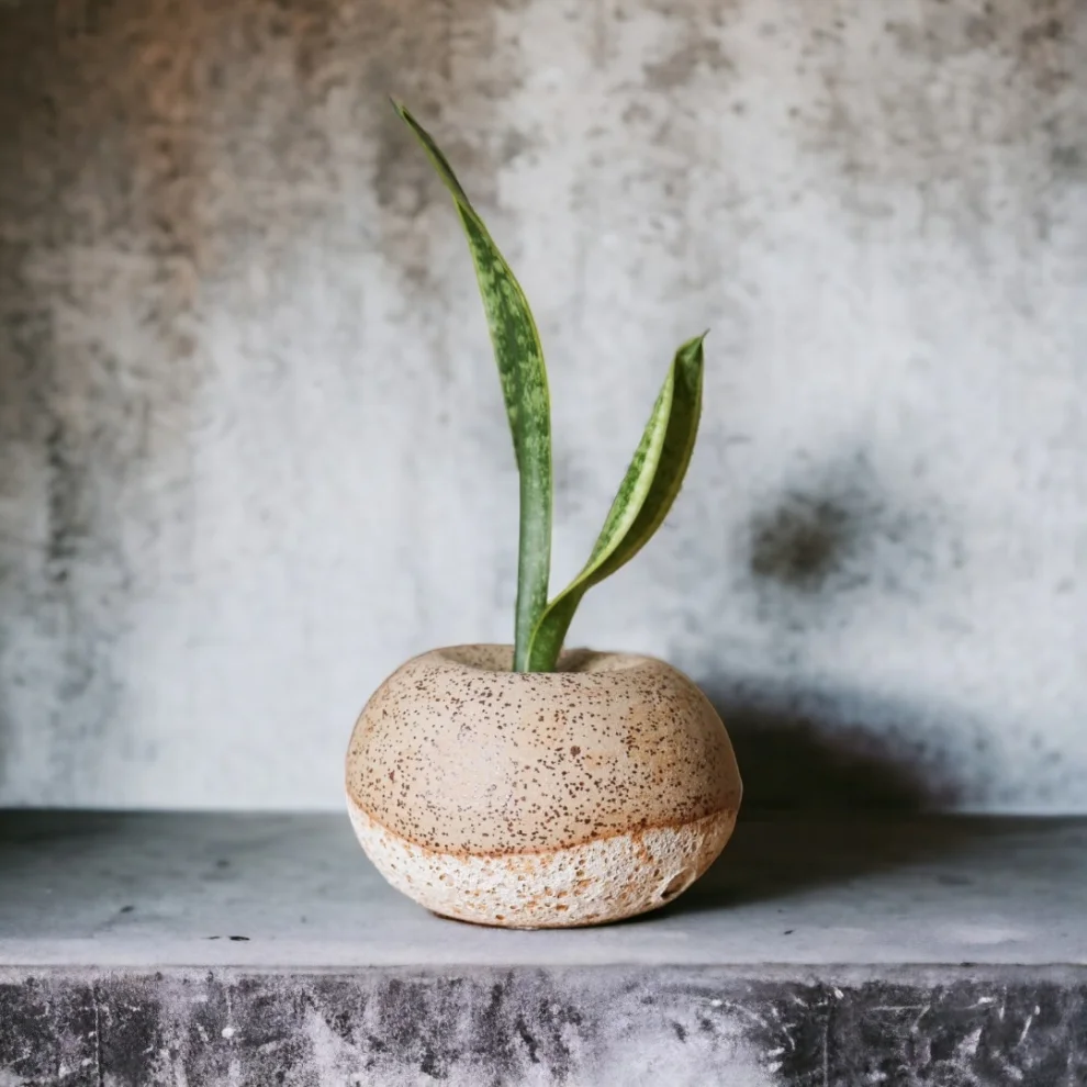 Plant in da House - Stoneware Seramik Vazo-55