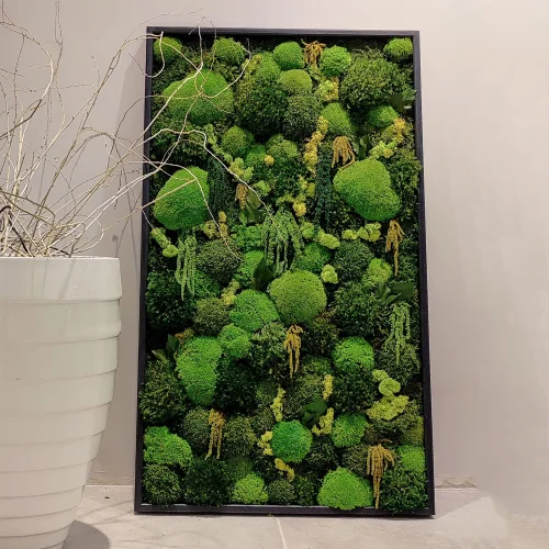 Fiplantart Works - Amazon Moss Frame