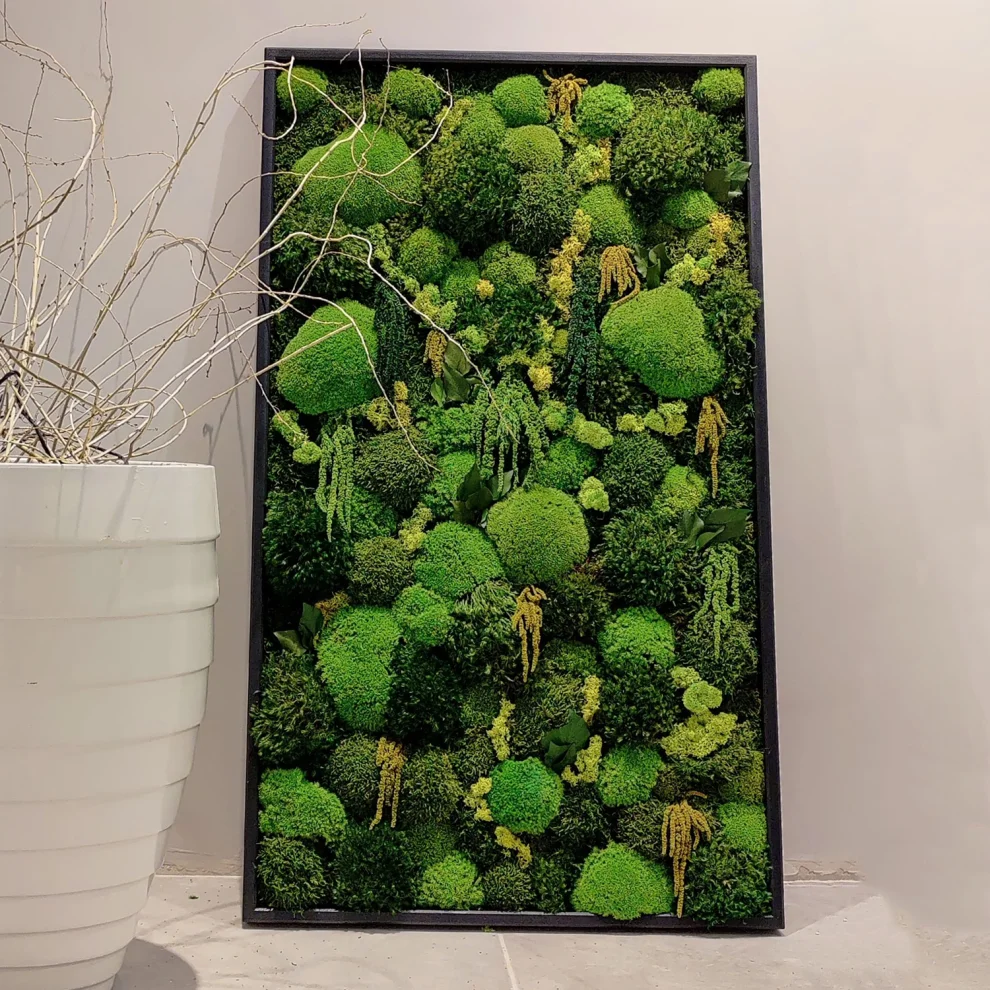 Fiplantart Works - Amazon Moss Frame