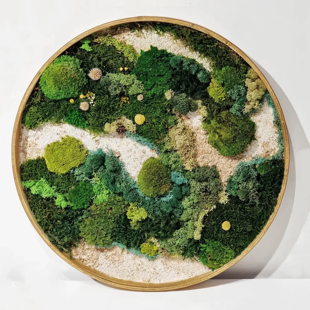 Fiplantart Works - Moss Art Farem Set To 3