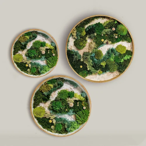 Fiplantart Works - Moss Art Farem Set To 3