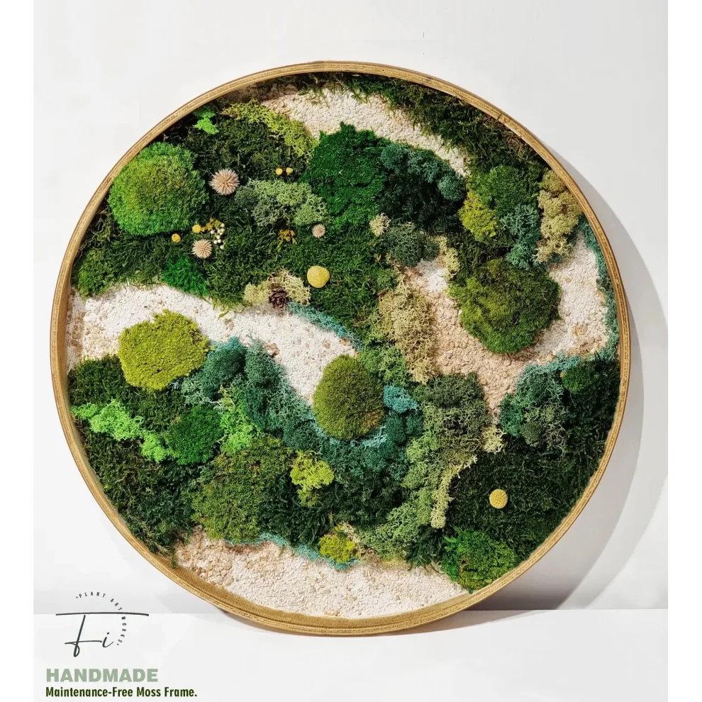 Fiplantart Works - Moss Art Farem Set To 3