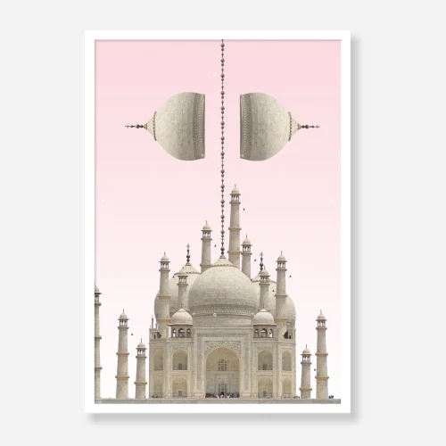 Action Zebra	 - Taj Mahal 2 Print