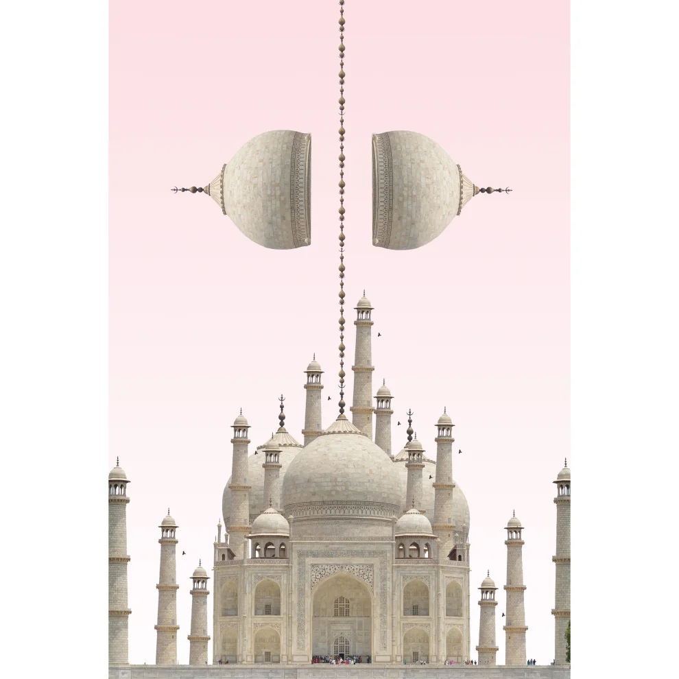 Action Zebra	 - Taj Mahal 2 Print