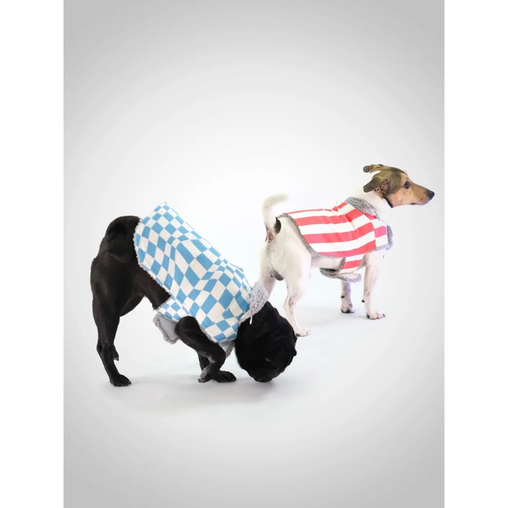 Eiso - Dog Coat - Waterproof