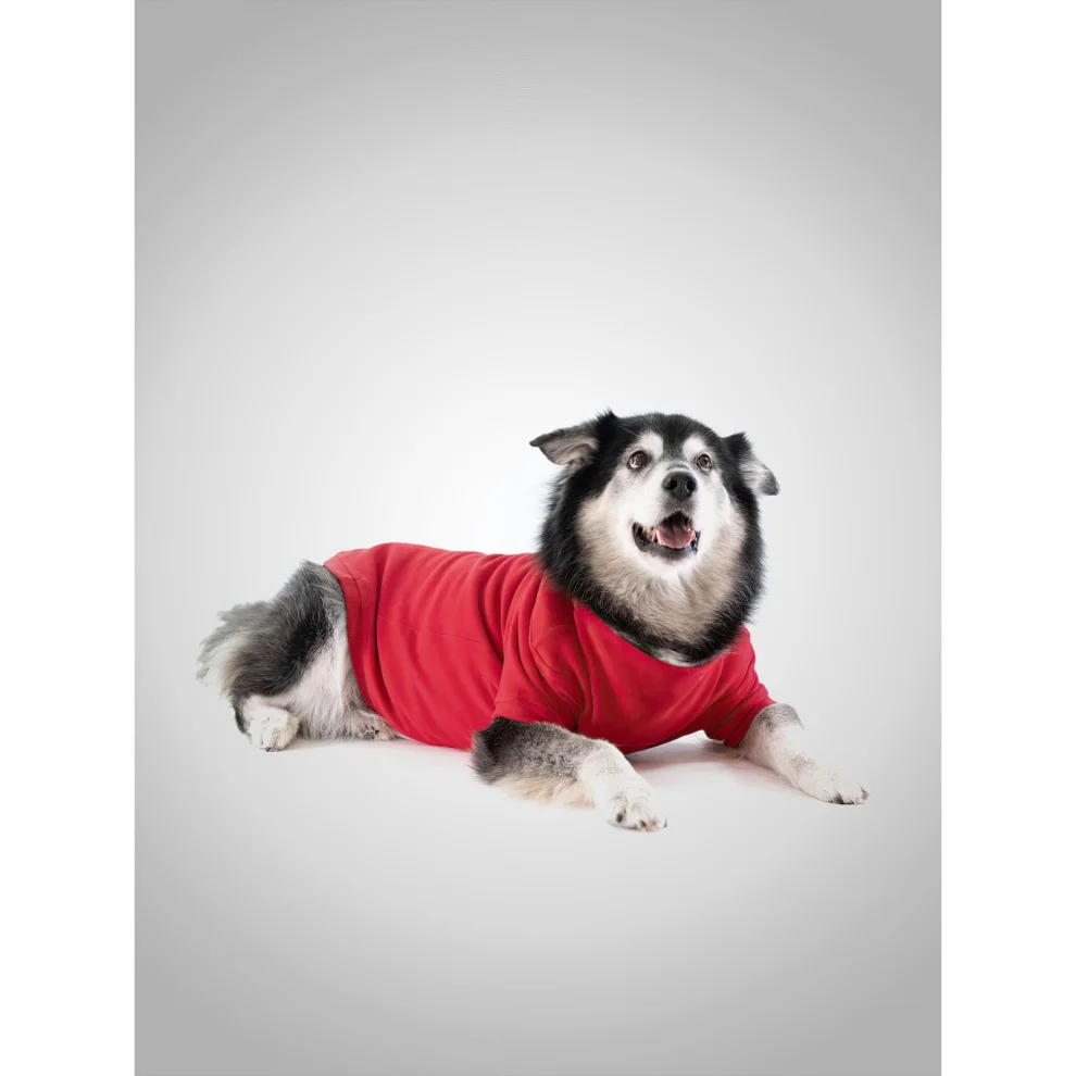 Eiso - Insider Dog Sweatshirt