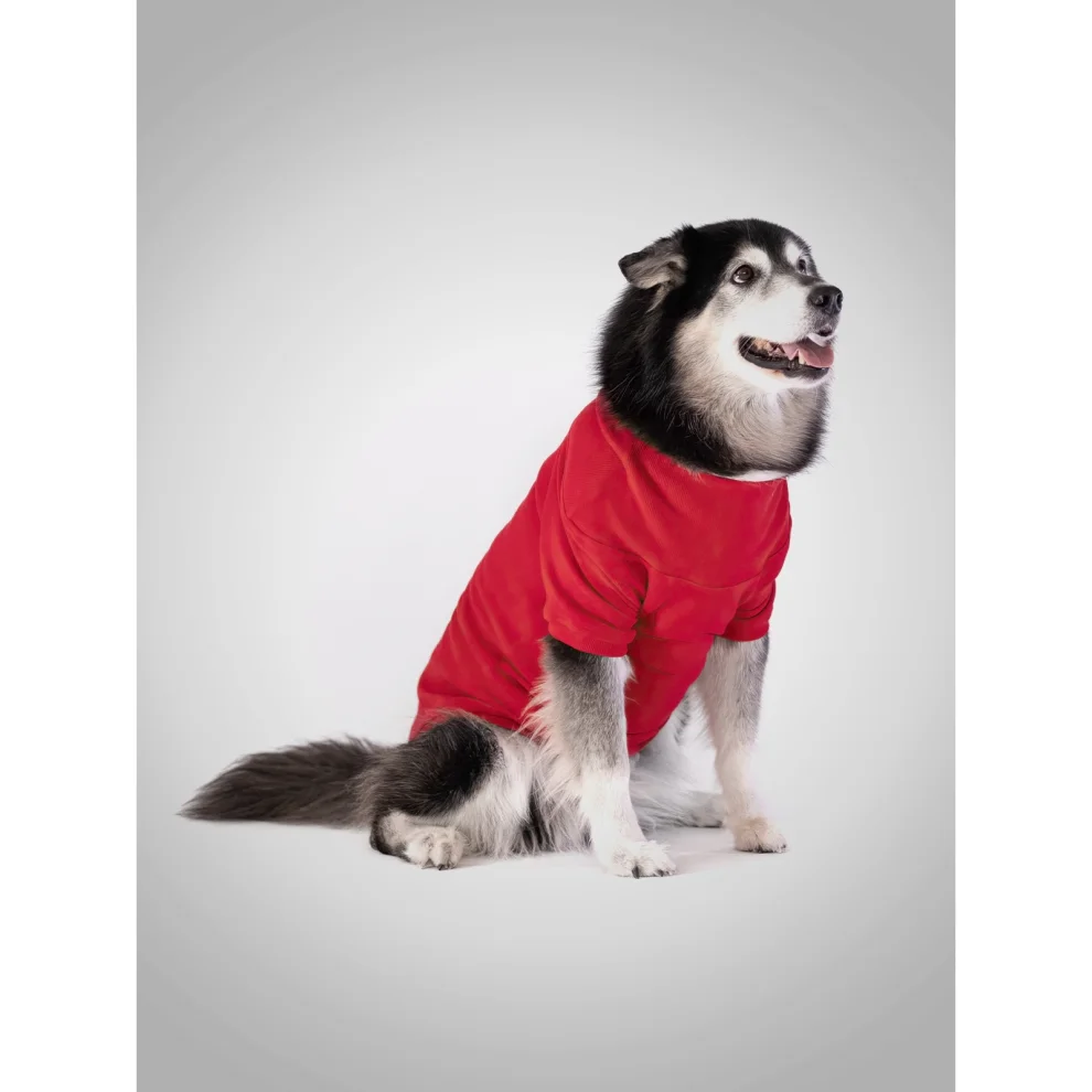 Eiso - Insider Dog Sweatshirt