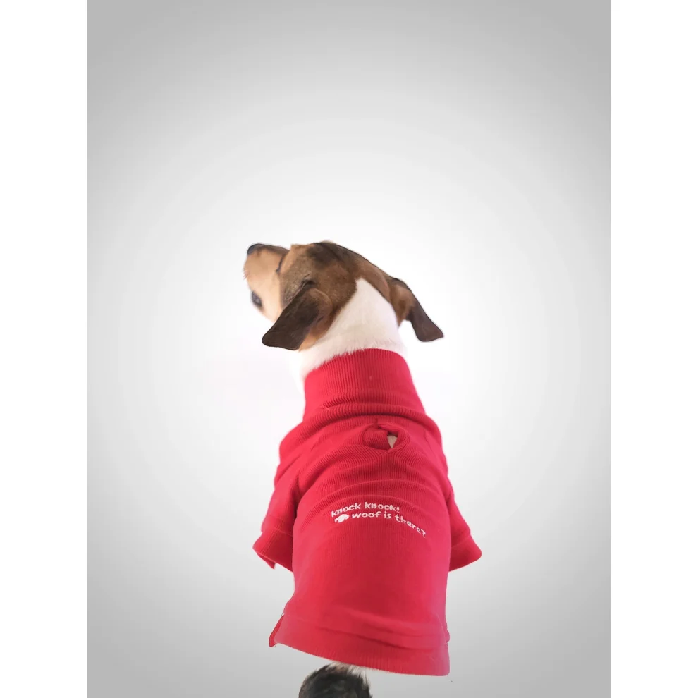 Eiso - Insider Dog Sweatshirt