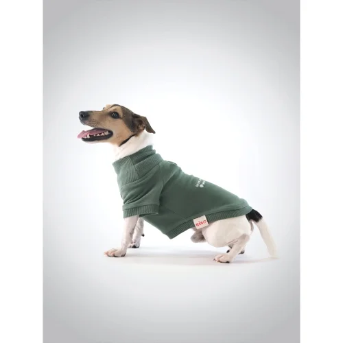 Eiso - Insider Dog Sweatshirt