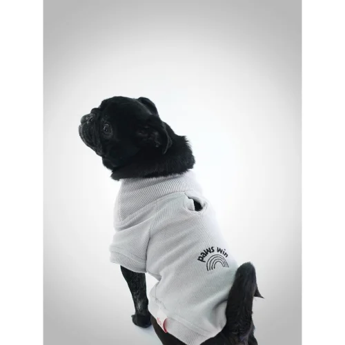 Eiso - Winner Köpek Sweatshirt