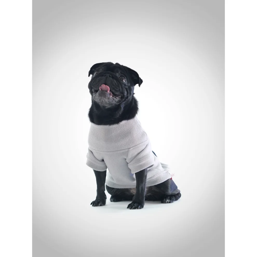 Eiso - Winner Dog Sweatshirt