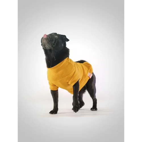 Eiso - Winner Köpek Sweatshirt