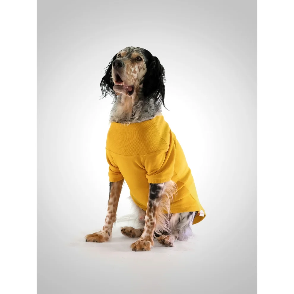 Eiso - Winner Köpek Sweatshirt