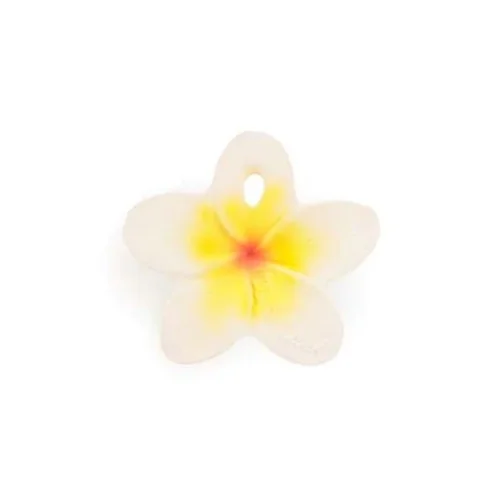 Oli&Carol - Hawaii The Flower Mini Baby Teether
