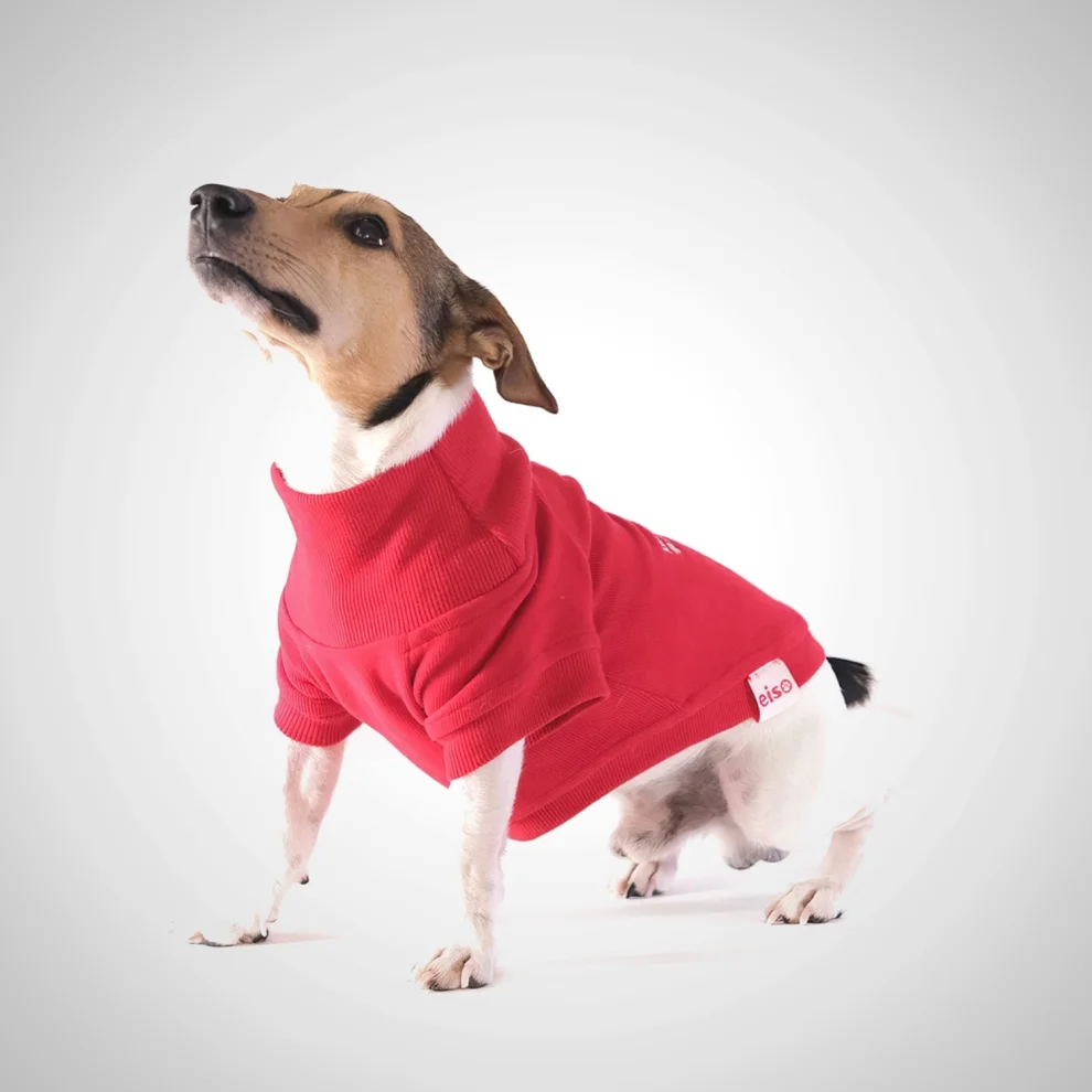 Eiso - Insider Köpek Sweatshirt