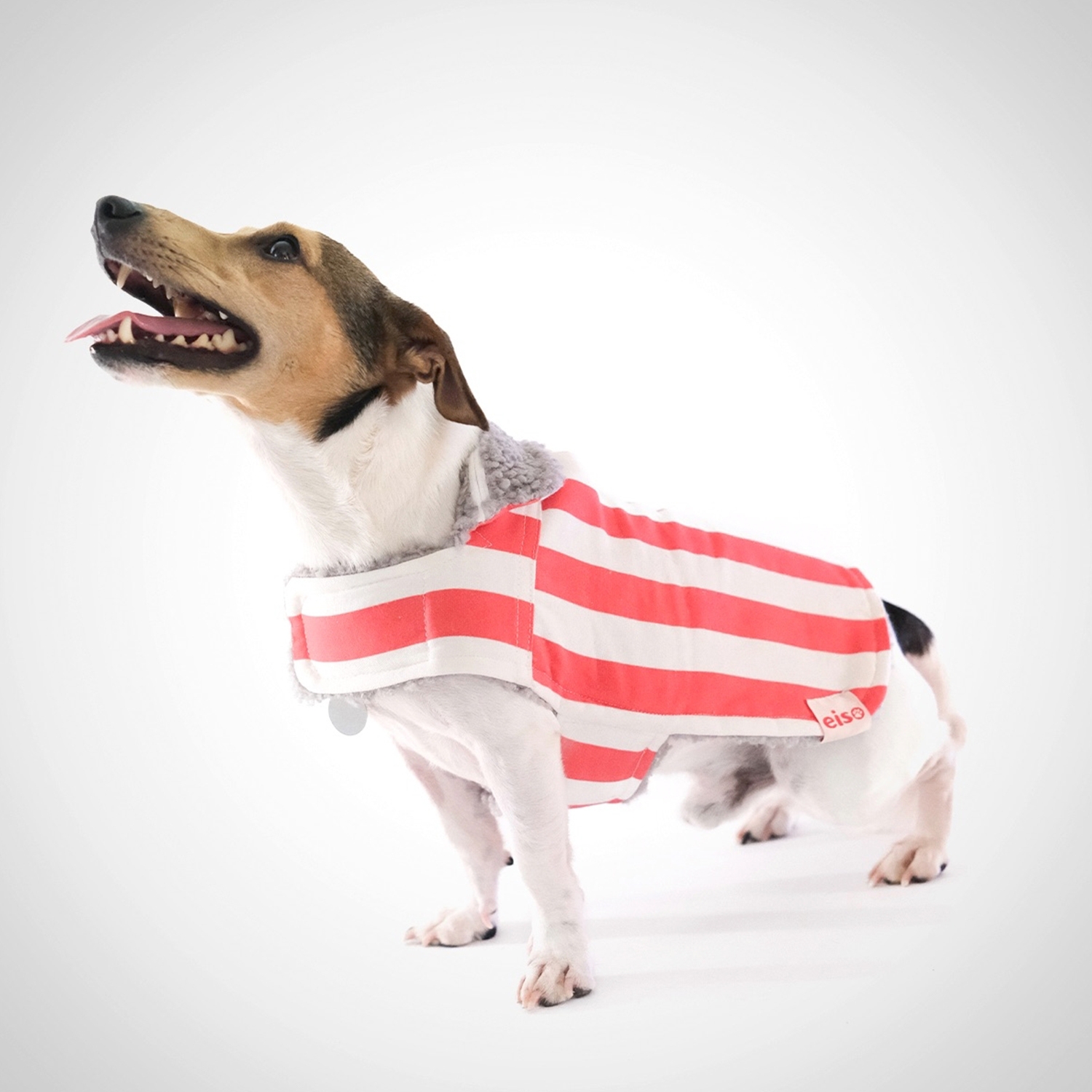 Dog Coat - Waterproof