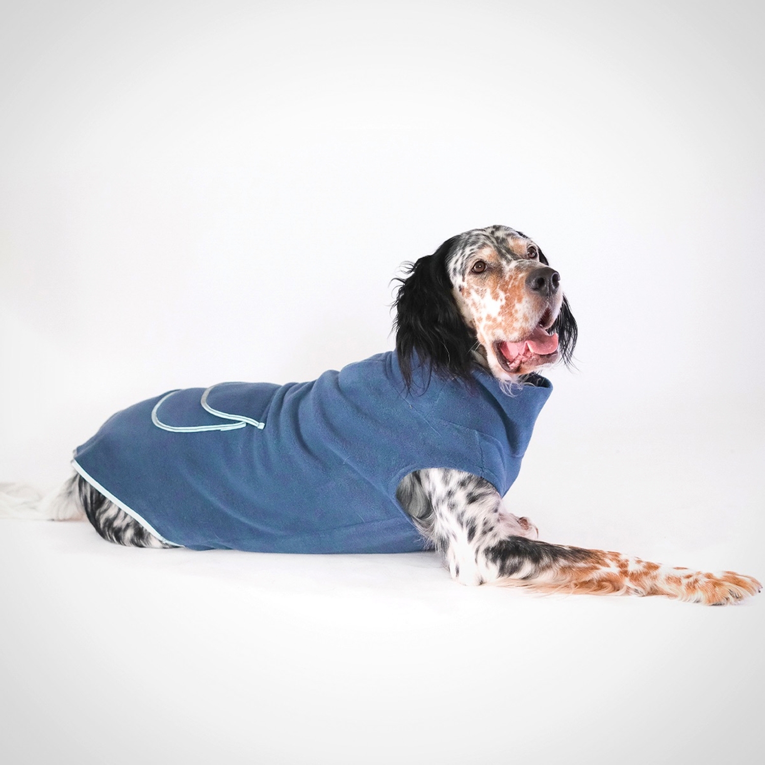 Dog Fleece Sweater