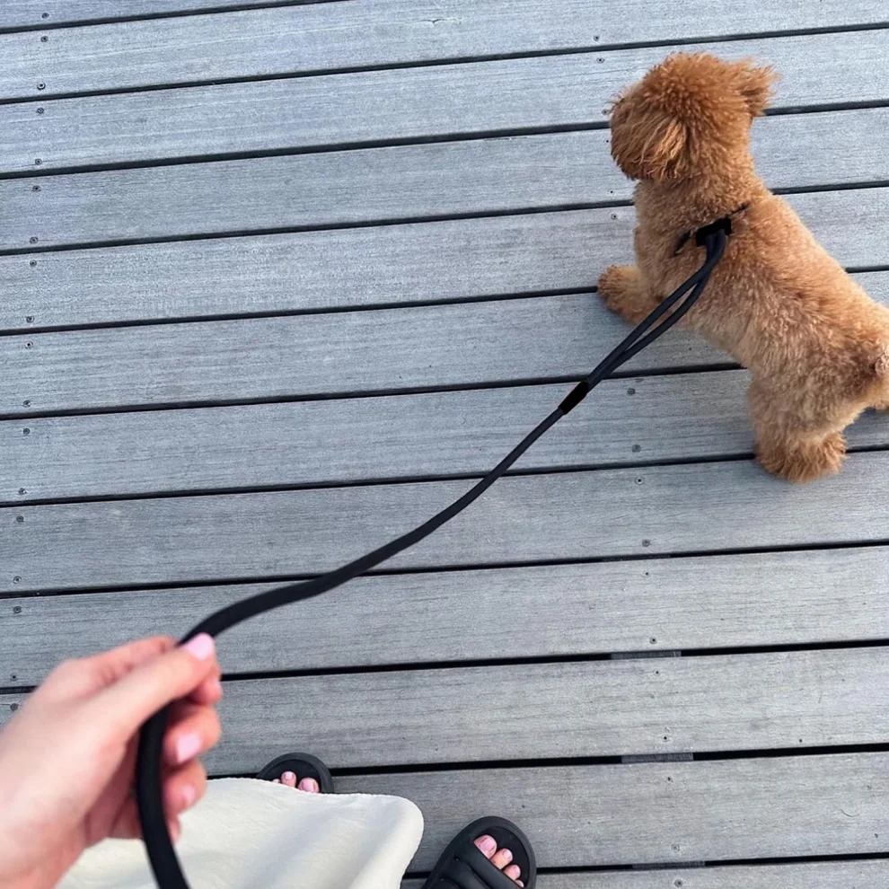 Petswuu - Body Collar And Leash Set