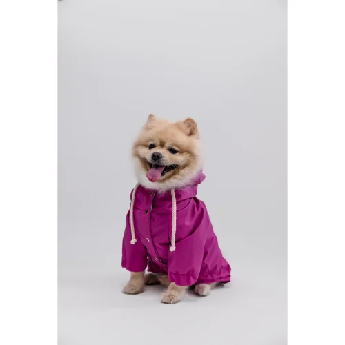 cocoist.dog - Rudy Dog Raincoat