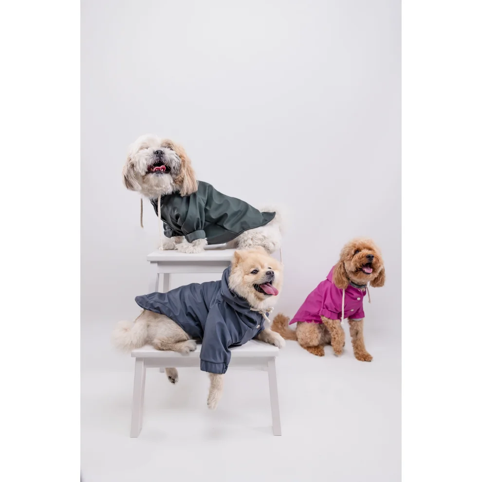 cocoist.dog - Rudy Dog Raincoat