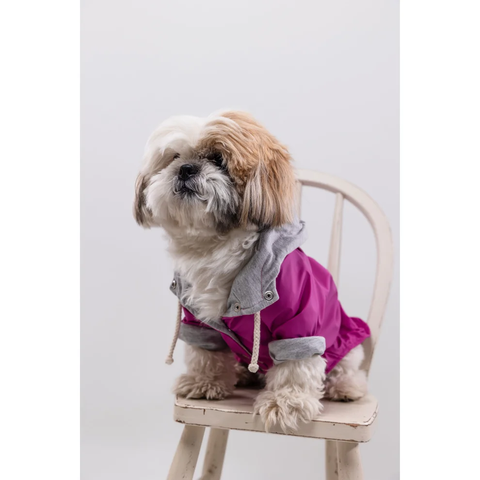 cocoist.dog - Rudy Dog Raincoat