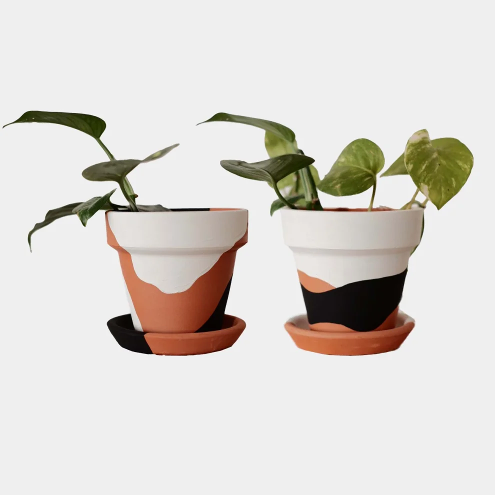 fi.dayy - Terracotta Plant Pot Duo Set