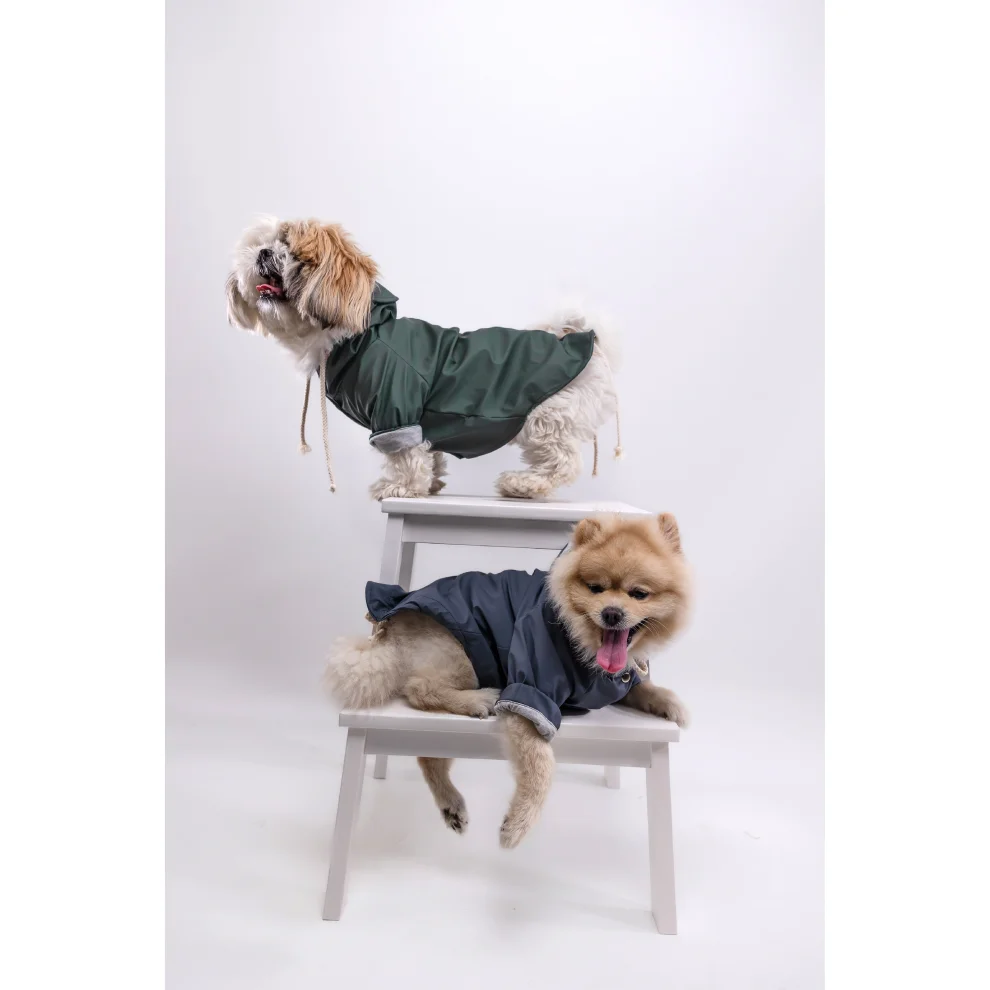 cocoist.dog - Rudy Dog Raincoat