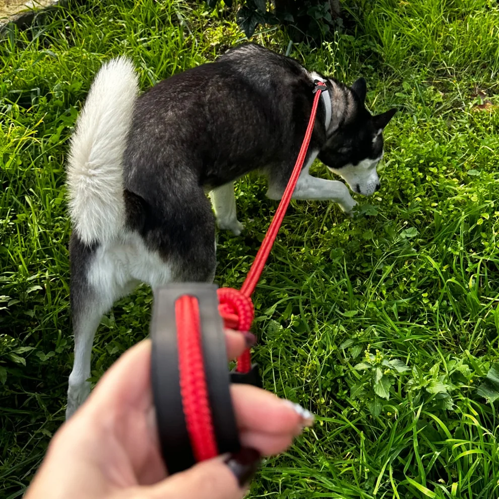 Petswuu - Dog Travel Strap