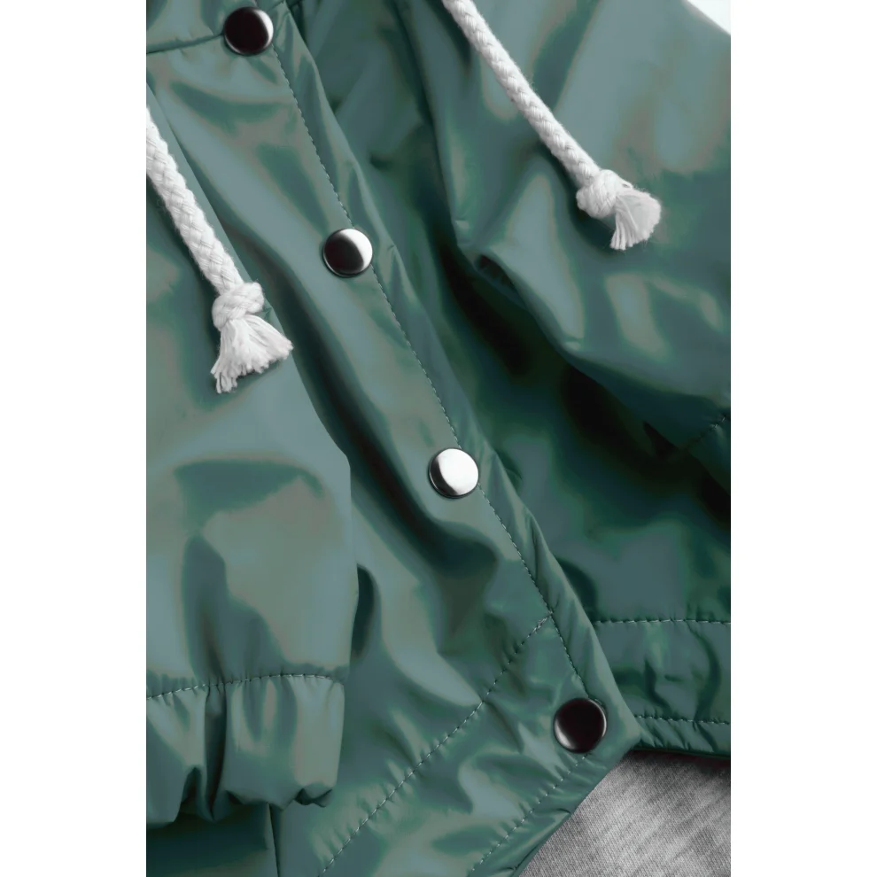 cocoist.dog - Rudy Dog Raincoat