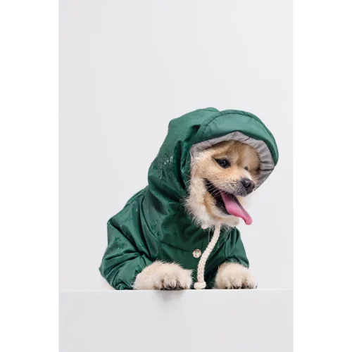 cocoist.dog - Rudy Dog Raincoat