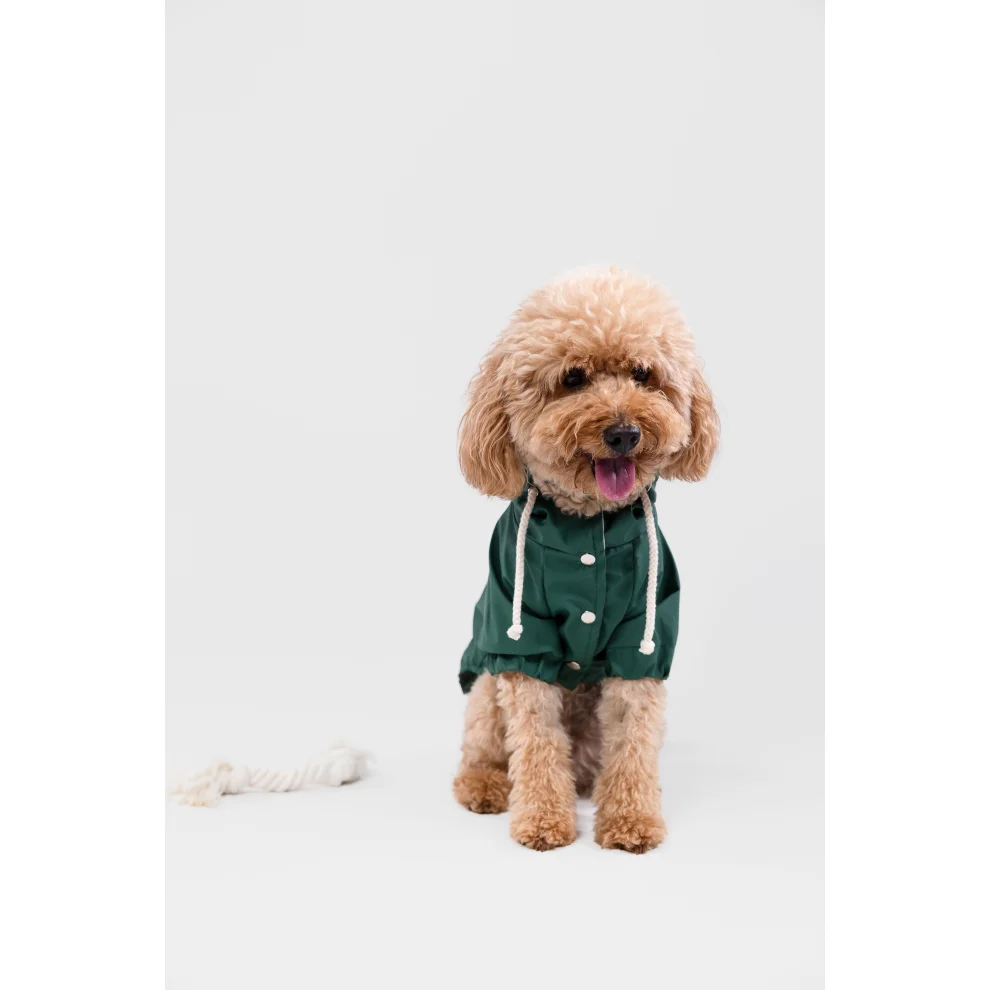 cocoist.dog - Rudy Dog Raincoat